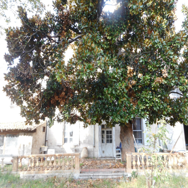 Offres de vente Maison de village Creissan 34370